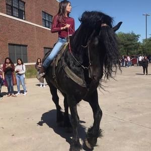 Meet your Posher, Hanna